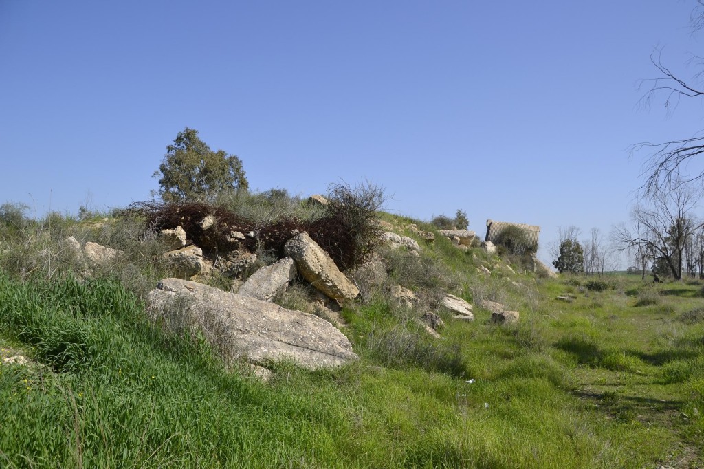 שרידי מבנים ומגדלים בסמוך למגדל המים הבריטי שקרס - צילום: אפי אליאן