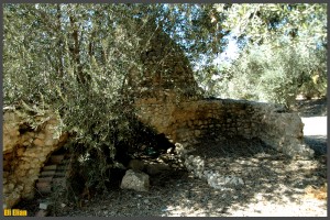 מבנה קבר השיח' במושב עזריקם - צילום: אפי אליאן