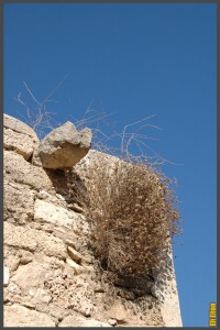 מרזב ישן שנבנה מלבני צדפים וכורכר