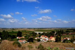 לכל אורך רחובו הראשי של מושב קדרון מתל קטרה