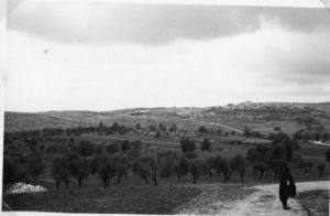 כפר תרשיחא כפי שצולם ב-1940. - מקור: מע"צ - ממשלת ארץ ישראל / גנזך ארכיון המדינה