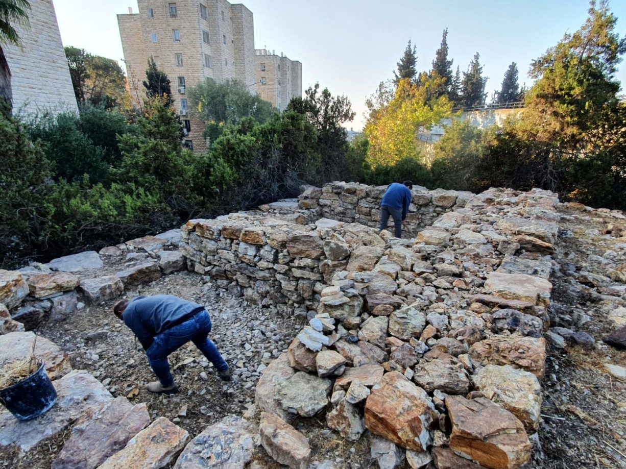 שימור המיצד בגבעה הצרפתית. צילום יעל קלמן רשות העתיקות