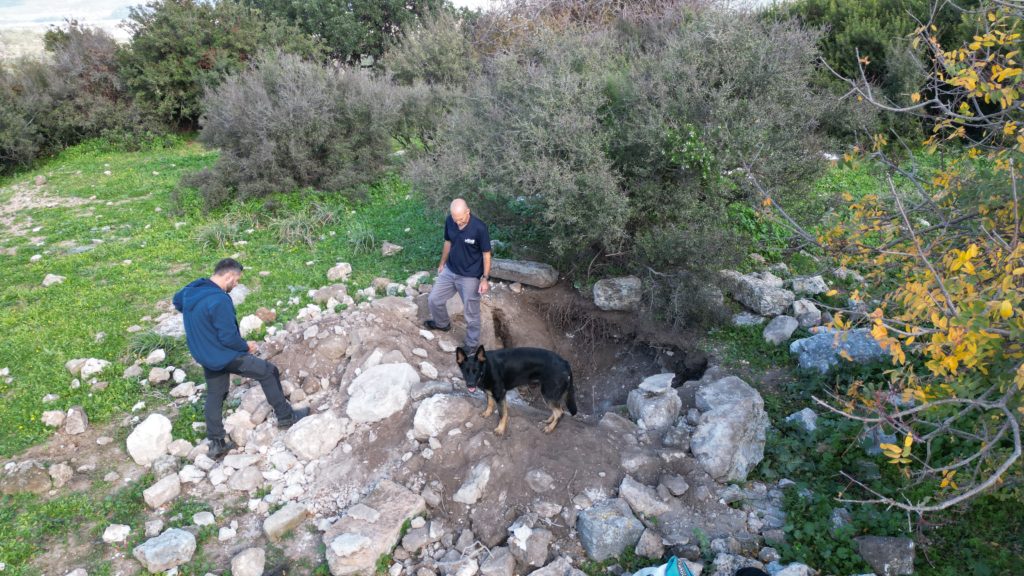 החפירה באתר. צילום רוני שרון