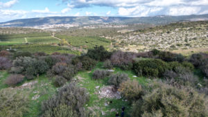 שוד העתיקות בחורבת סוגר. צילום: ראובן קפול