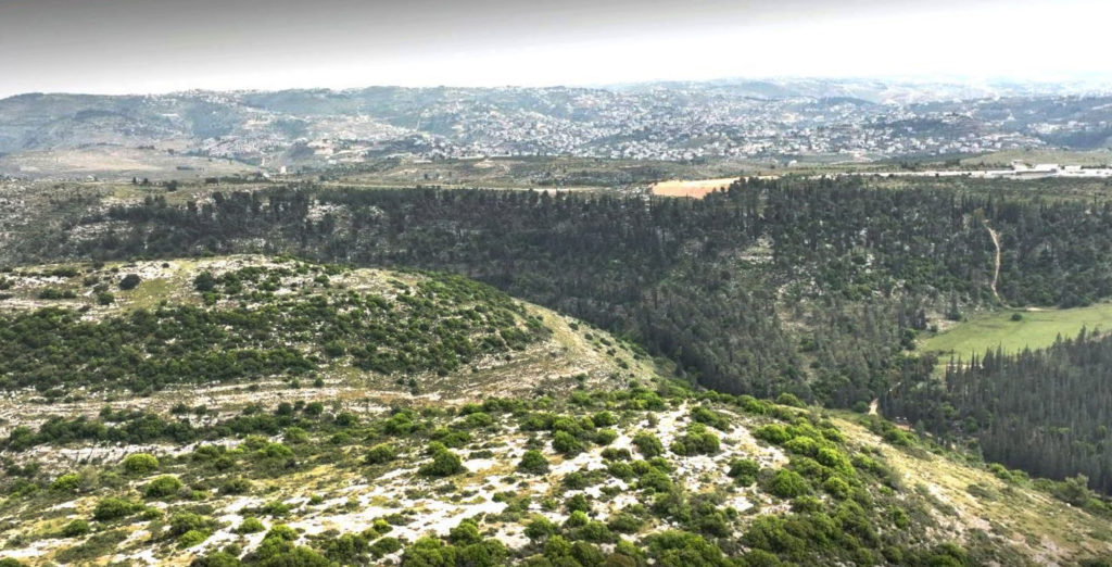 גבעת הקרב בשפלת יהודה. צילום איל מרקו